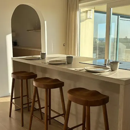 Penthouse Aan Zee 公寓 德帕内