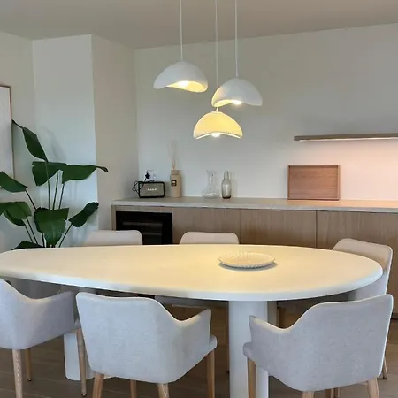 公寓 Penthouse Aan Zee 德帕内