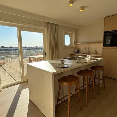 公寓 Penthouse Aan Zee