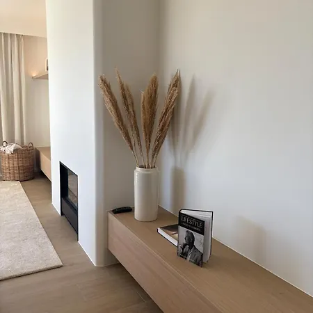 公寓 Penthouse Aan Zee 德帕内